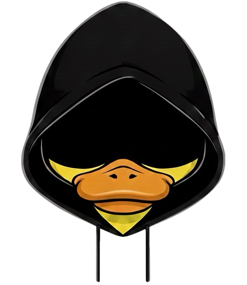 Duckster Digital Solutions